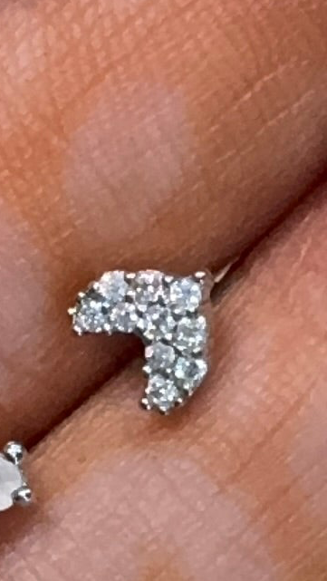 Nose Pins Silver Base